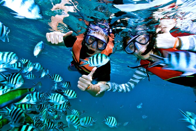 Private MUSA Snorkeling Experience at Isla Mujeres and Cancun - Traveler Recommendations