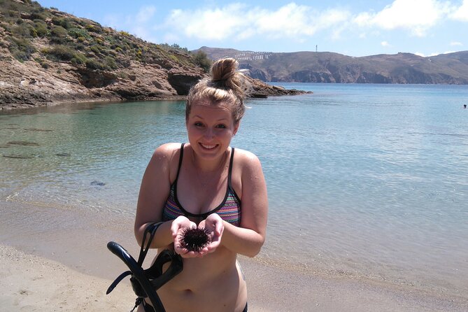 Private Mykonos Nature Tour With Transfer - Recommendations for Travelers