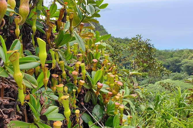 Private Nature Tours & Trail 1 to 5 Persons - Booking Process and Policies