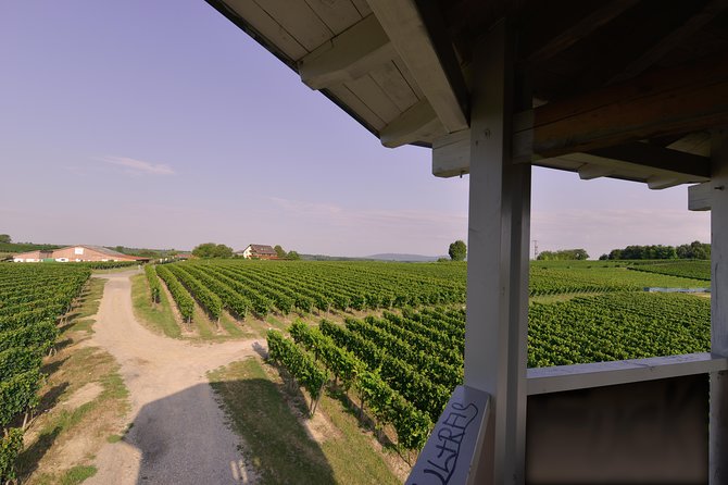 Private: Outdoor Escape Game Tuniberg: Eduardo & the Wine Secret - Culinary Delights and Wine