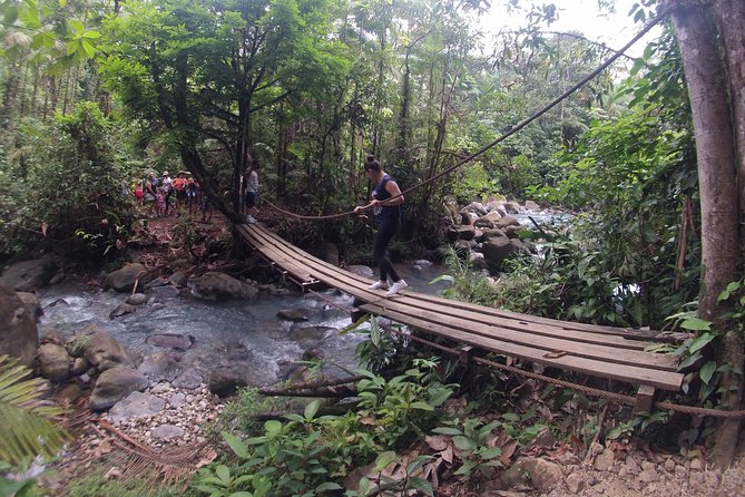 Private Path to Swimming in the Blue Water. - Previewing the Customer Reviews