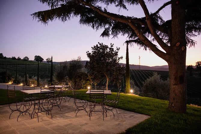 Private Premium Brunello Wine Tasting Tour & Food Pairing - Wine Tasting and Food Pairing
