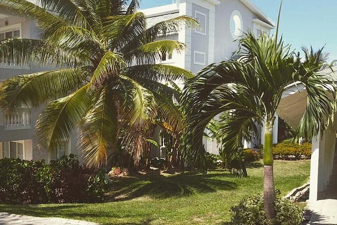 Private Roundtrip Sangster Airport Transfer to Grand Palladium - Pricing and Availability