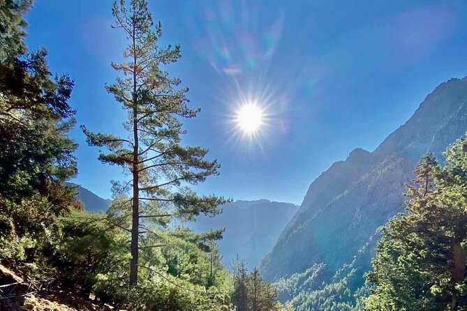 Private Roundtrip Transfer From Chania to Samaria Gorge Park - Pricing and Group Size Options