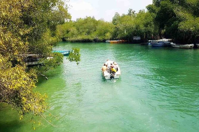 Private Safari Boat Tour in Madu River - Cancellation and Weather Policies