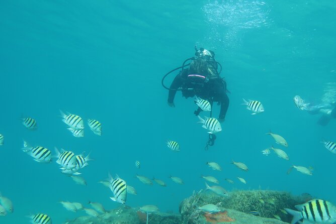 Private Scuba Diving Expert-Led Excursion Training With Tour - Meeting and End Points