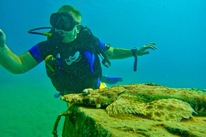 Private Scuba Diving Tour With Transportation and Guide - Exceptional Customer Reviews