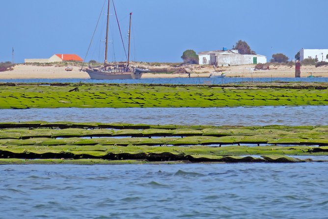 Private Sightseeing Boat Tour in Ria Formosa at Olhão - Cancellation and Pricing