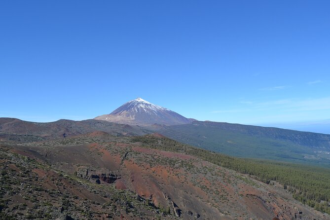 Private Small Group Tour to Teide National Park - Highlights of the Tour
