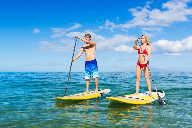 Private Stand Up Paddling Lesson in Makena - Reviews and Testimonials