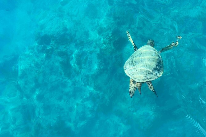 Private Sunrise Catamaran Cruise in Waikiki - What to Bring on Your Cruise