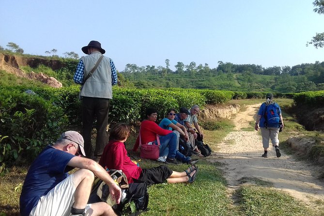Private Tour: 5 Days - Bangladesh Nature & Culture Tour - North-Eastern Part - Health and Safety Considerations