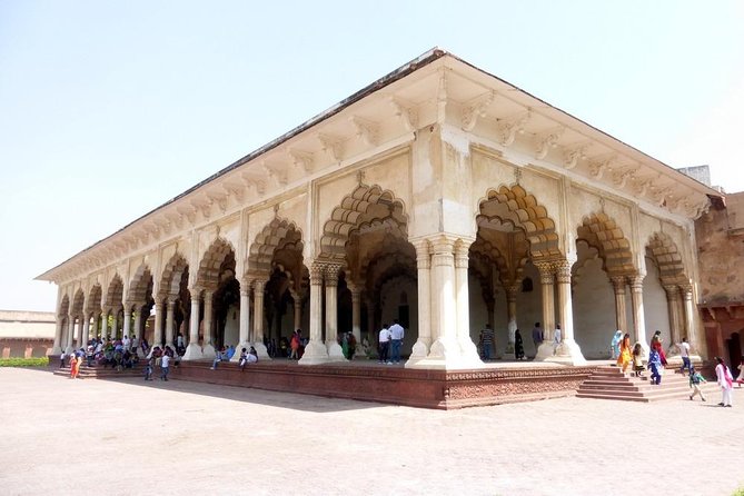 Private Tour: Agra City Tour of Taj Mahal and Agra Fort - Reviews and Customer Feedback