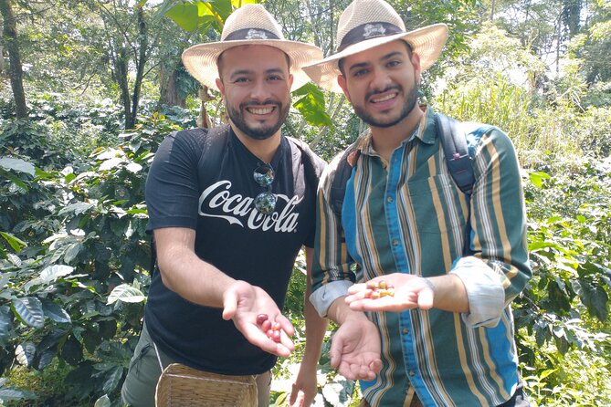 Private Tour Coffee Plantation Coloma Transportation + Lunch - Sampling the Local Cuisine