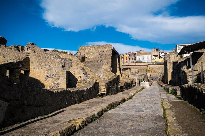 Private Tour in Pompeii at Your Pace - Confirmation and Accessibility Details