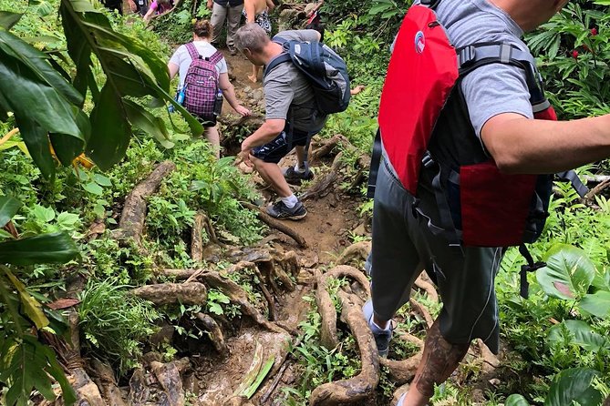 Private Tour of El Yunque Rainforest From San Juan - Booking and Confirmation