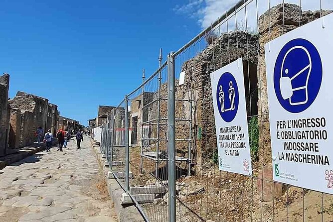 Private Tour of Pompeii Review - Customer Reviews