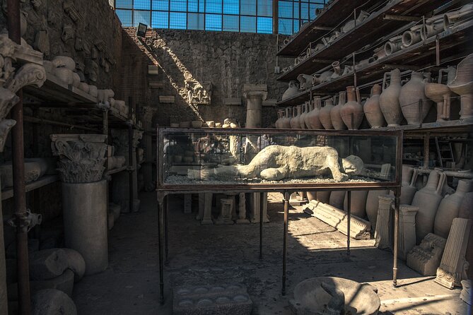 Private Tour of Pompeii With Official Guide and Transfers Included - Highlights of Pompeii