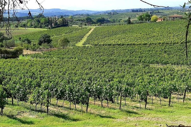 PRIVATE TOUR Sweet Hills of Chianti and San Gimignano With Lunch & 2 Tastings - Discover Historic Hill Towns