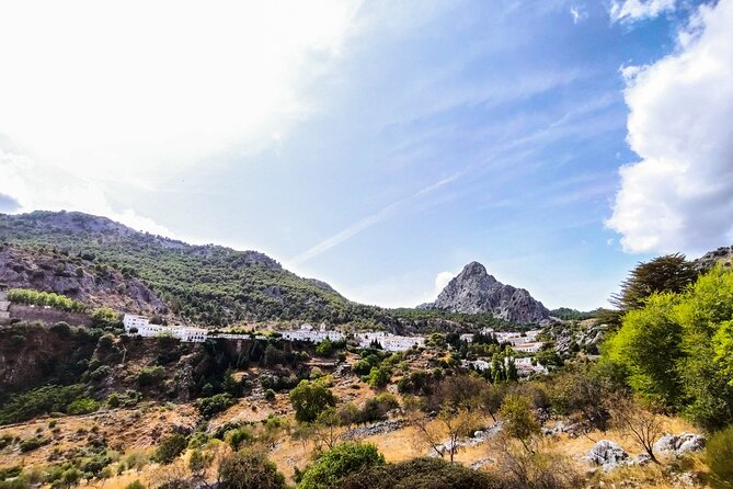 Private Tour to Ronda From Seville (Several Options) - Transportation and Logistics