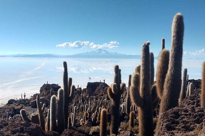 Private Tour to Uyuni Salt Flats With Pick up From Hotels in Colchani - Booking Information