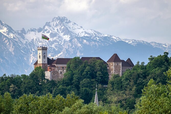 Private Tours in Slovenia From Koper Review - Customer Feedback and Insights