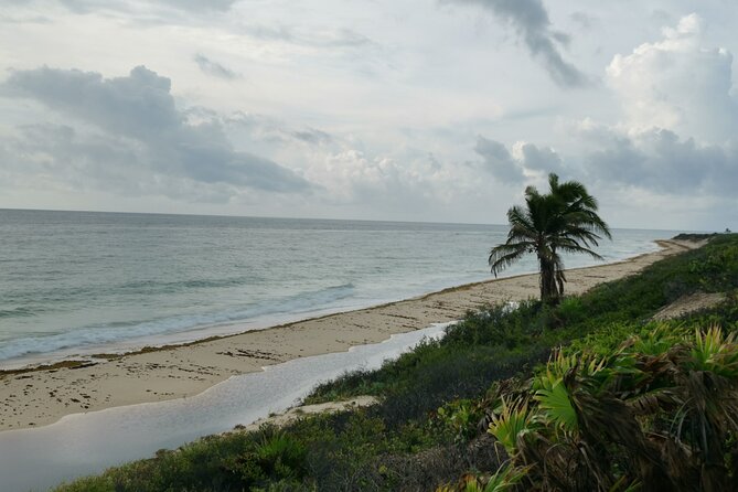 Private Transfer-Cancun Airport-Playa Del Carmen One Way - Comfortable and Private Transport