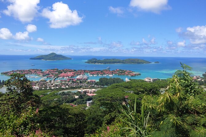 Private Transfer From Airport to Hotels, Port in Seychelles - Vehicle Specifications and Features