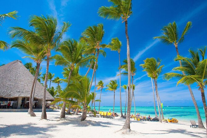 Private Transfer: Punta Cana Airport PUJ to Punta Cana or Bavaro in Van - Pricing and Booking