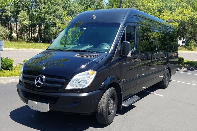 Private Transfer Punta Cana Airport To/From Dreams Dominicus La Romana - Provider Information