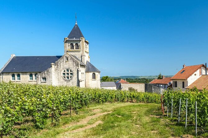 Private Transfer: Reims / Champagne to Paris Airport CDG by Van - Accessibility Information