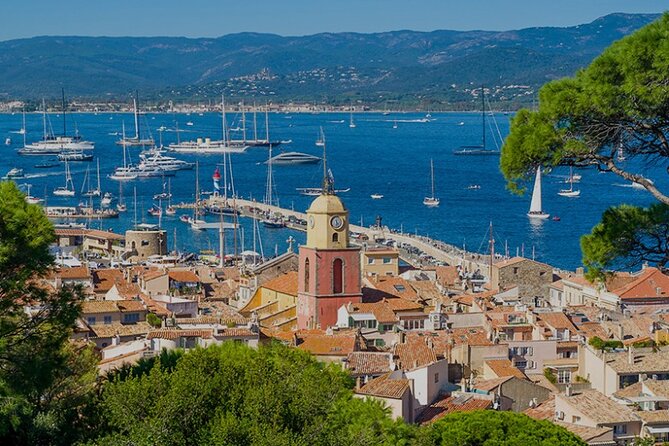 Private Transport in Van Nice/Cannes - Saint Tropez - Accessibility and Participation