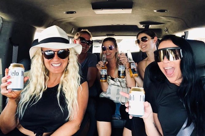 Private Transportation Los Cabos Airport - Accessibility and Group Size