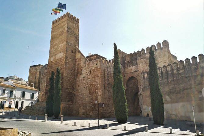 Private Trip to Carmona From Seville: 5000 Years of History - Highlights of Carmona