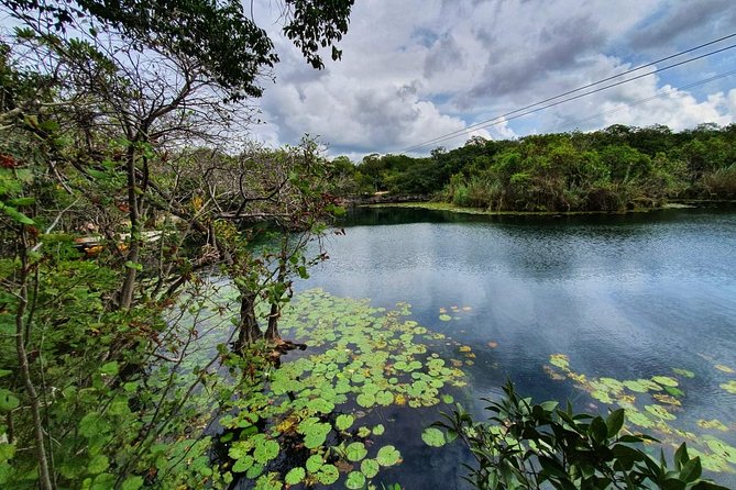 Private - Tulum Ruins and 3 Cenotes Jungle Adventure - Swimming and Snorkeling