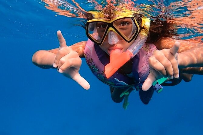 Private Turtle Spotting Snorkeling Excursion in Aruba - Knowledgeable and Friendly Guides