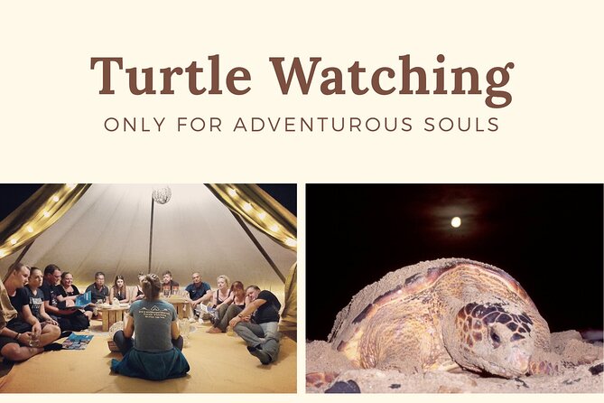 Private Turtle Watching Experience - Pricing and Reviews