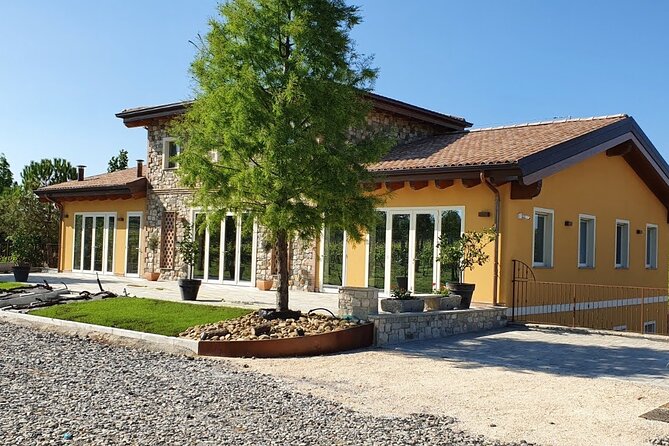 Private Visit to Acetaia With Tasting - Aperitif and Snacks