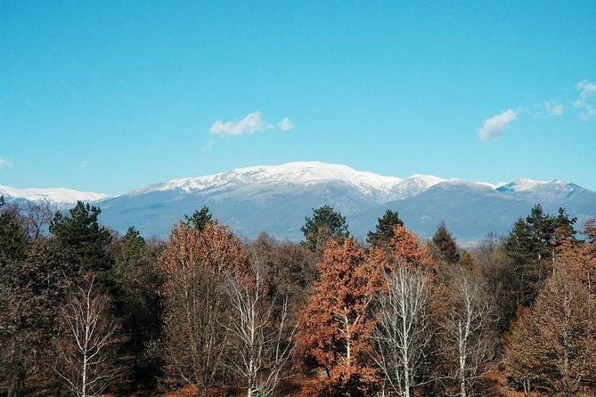 Private Vitosha Mountains Hiking With Black Peak & Dragalevtsi Monastery - Customer Feedback and Reviews