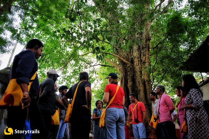 Private Walking Tour Kingdom of Gods Trail - Accessibility Information