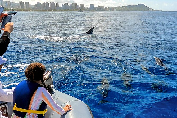 Private Whale Watching Adventure - Health and Safety Guidelines