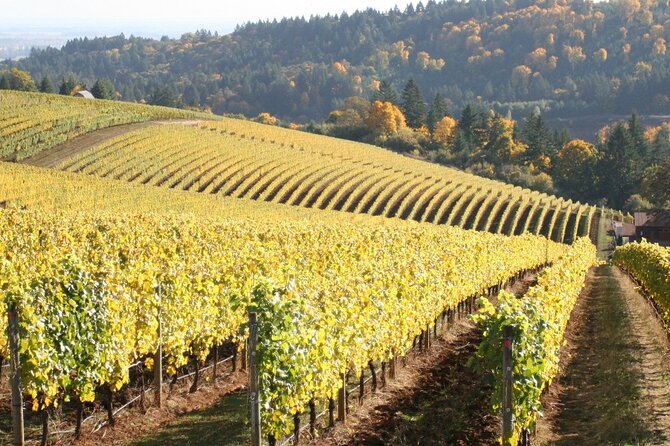 Private Willamette Valley Wine Tour From Portland (All Tasting Fees Included) - Sum Up
