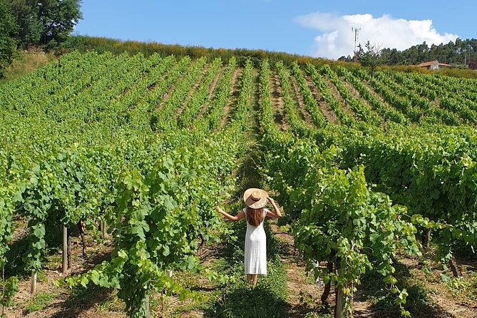 Private Wine Experience in Rota Do Vinho Verde With Lunch - Meeting and Pickup Details