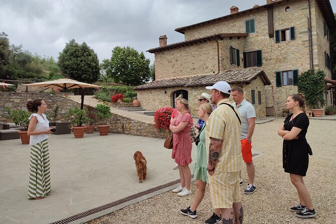 Private Wine Tour in Chianti Classico With Sommelier (2 Wineries) - Scenic Tuscany