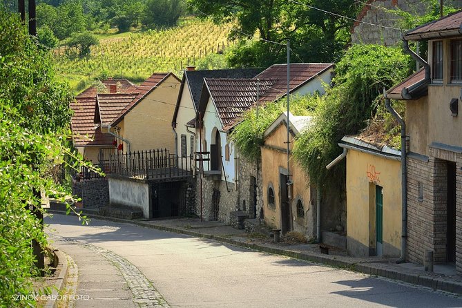 Private Winetasting and Sightseeing Tour to Eger, Home to Bulls Blood Wine! - Experience the Bulls Blood Wine