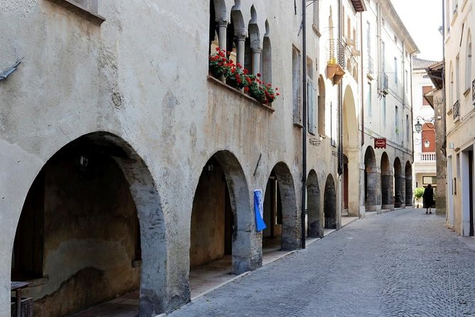 Prosecco Region Cellar Visit, Wine Tasting, Palladian Villa, Medieval Village - Wine Tasting Experience
