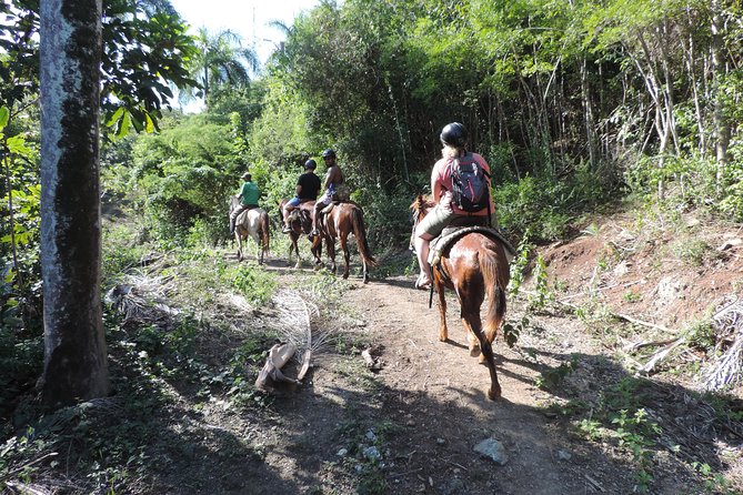 Puerto Plata: Wild, Furious & Eco Adventure - Capturing Memories on Film