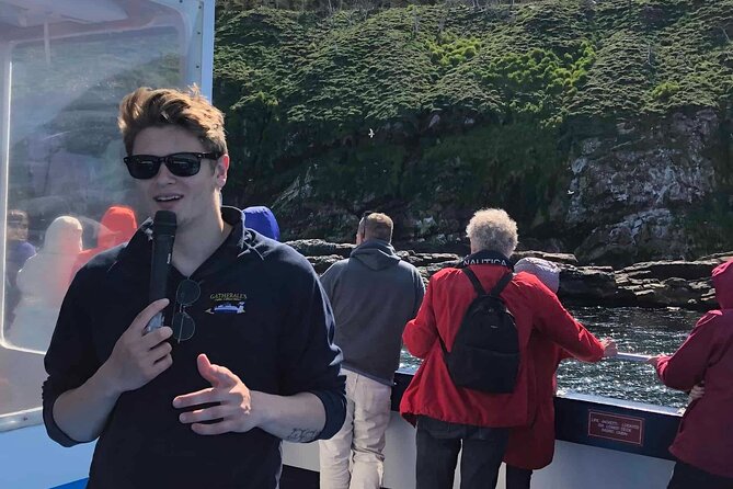 Puffin & Whale Boat Tour - Cancellation and Weather Policy