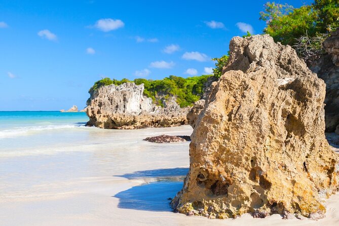 Punta Cana Guided Buggy Adventure Tour - Public Transportation