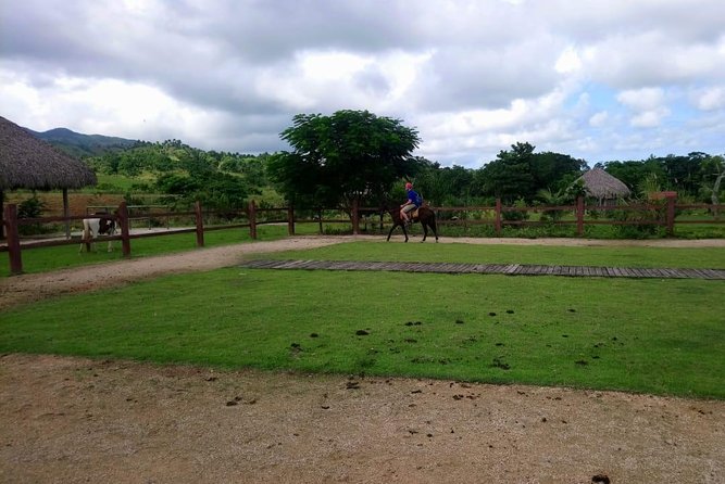 Punta Cana Horse Back Ridding on the Beach - Frequently Asked Questions